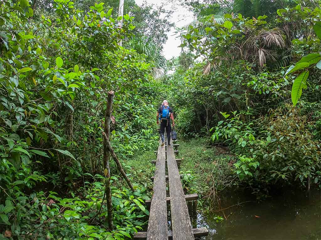 Experiencia completa por la selva cuatro dias - Amazon Experience ...